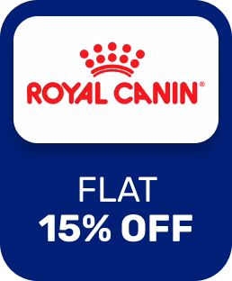 Flat 15% OFF