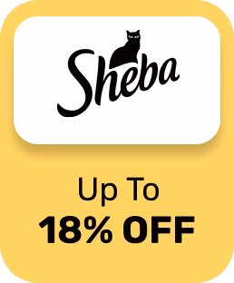 Upto 18% OFF