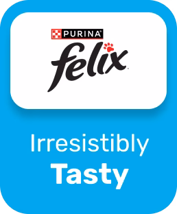 Tasty Treats