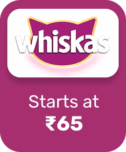 Starts at RS.65
