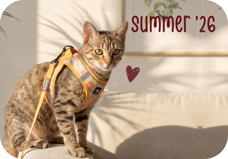 Cat Walk Gear