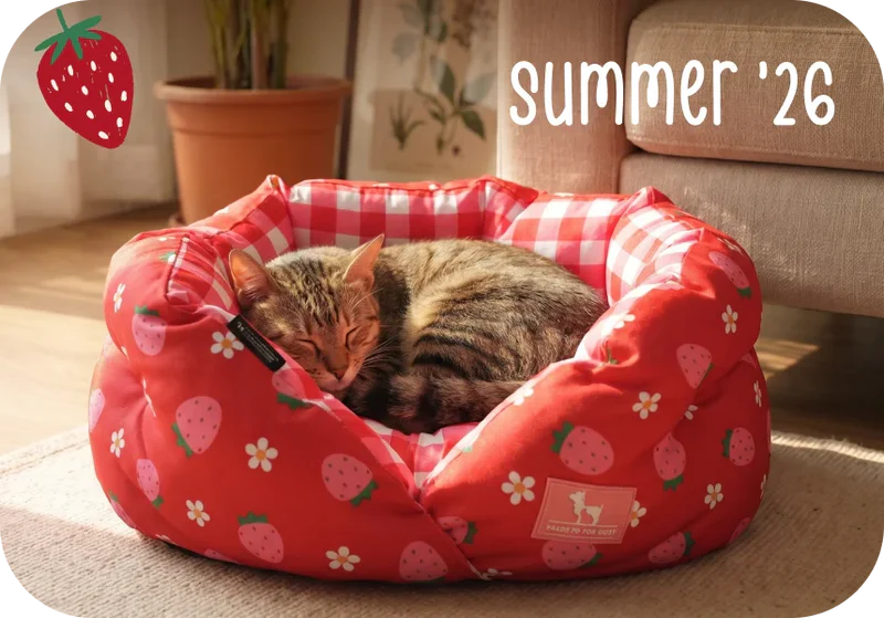 Cat Beds & Mats
