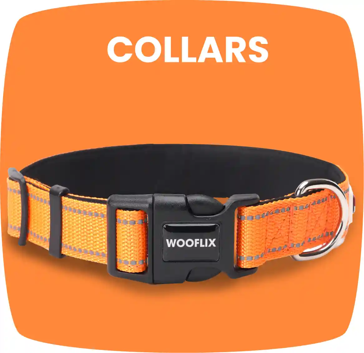 Dog Collars