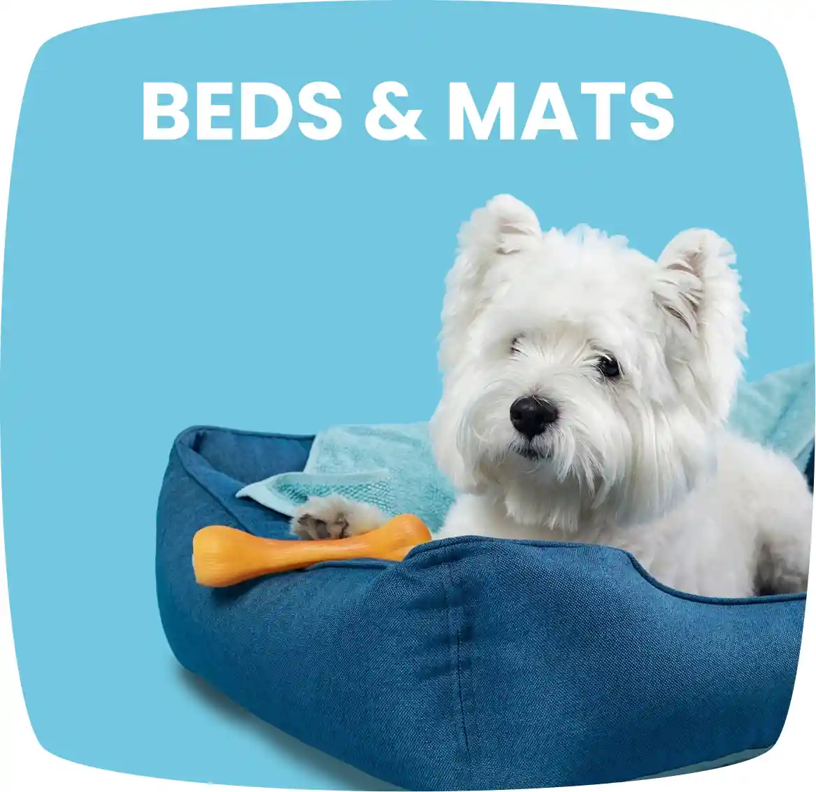 Dog Beds